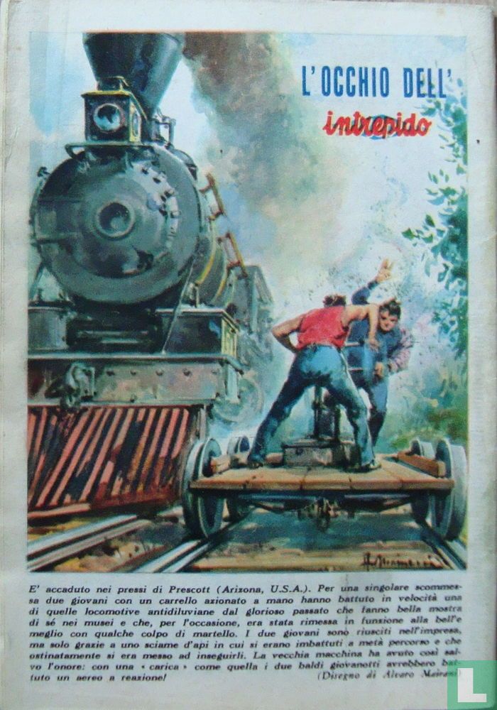 Intrepido 13