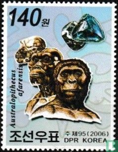 Australopithecus afarensis