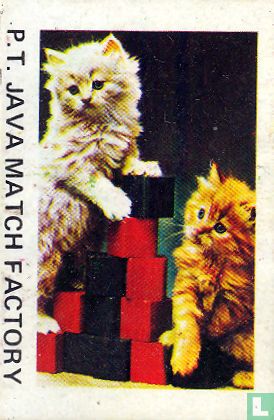 Raskatten