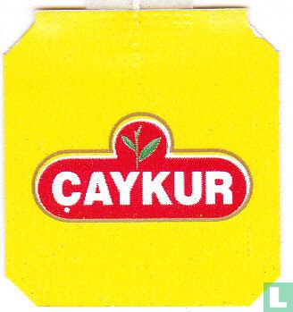 Her Dem Adaçayi