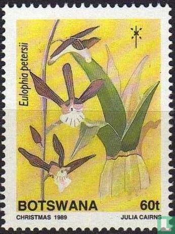 Orchideen