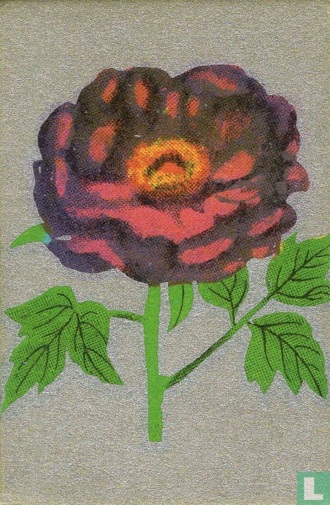 Bloemen