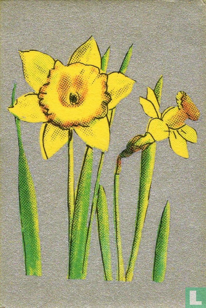 Bloemen