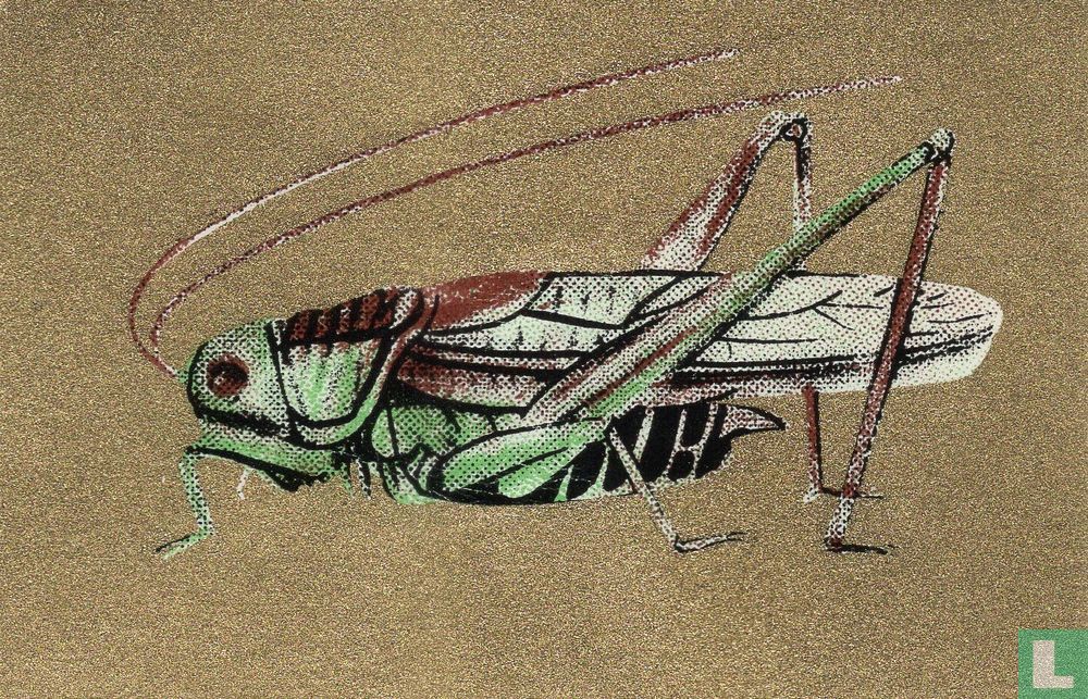 Krekel