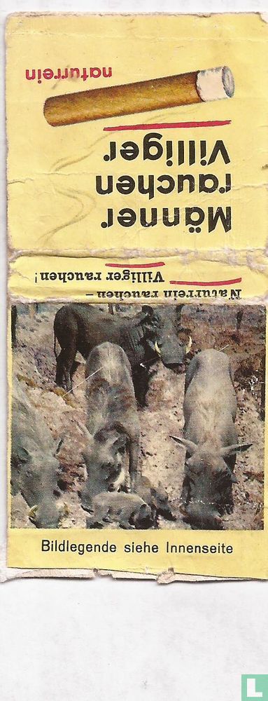 Warzenschwein
