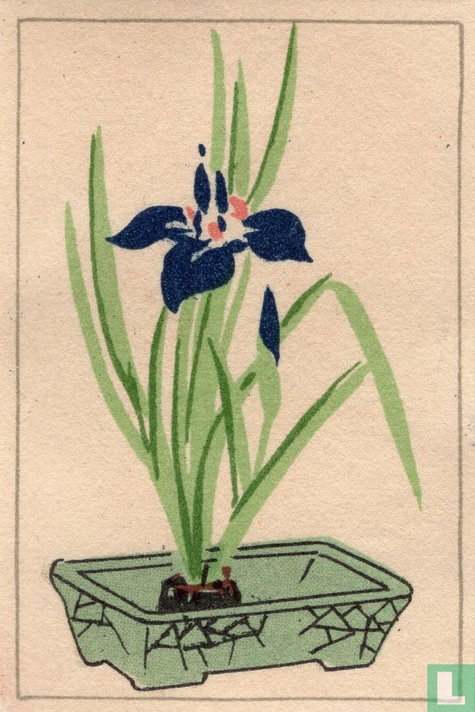 Ikebana