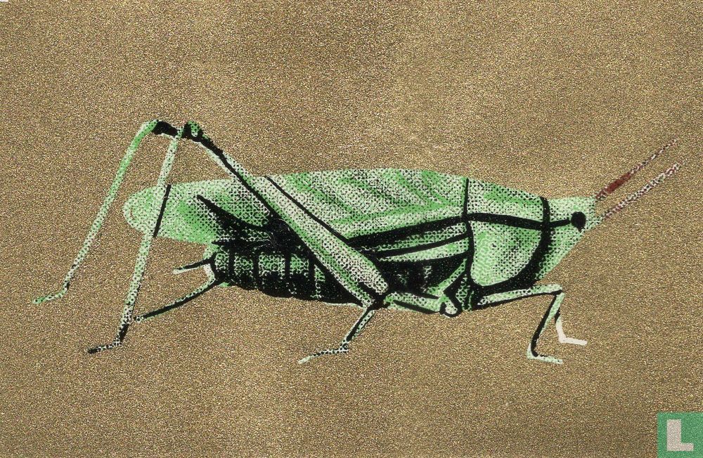 Krekel