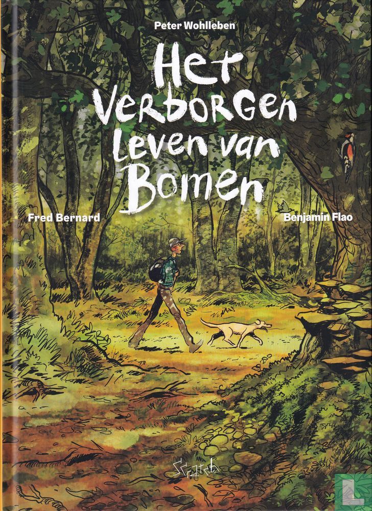 Het verborgen leven van bomen