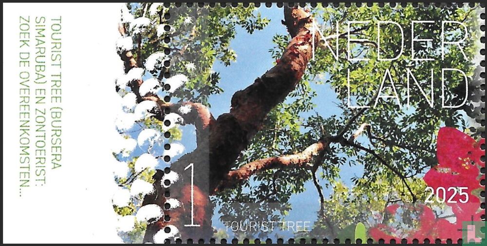 Tourist tree