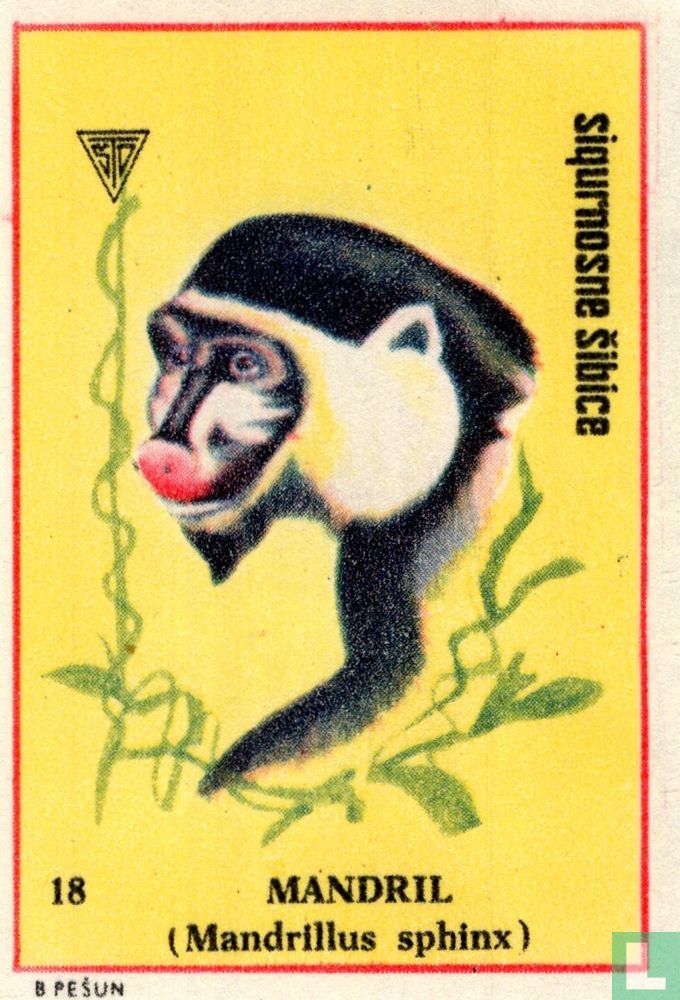 Mandril
