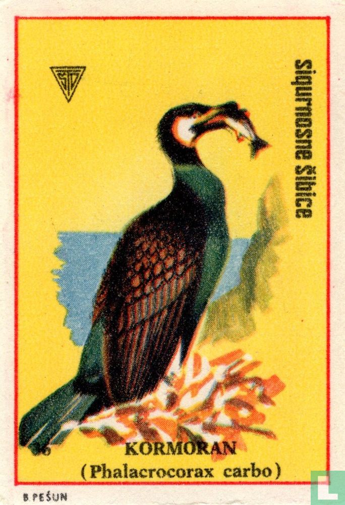 Kormoran