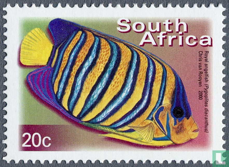 Fish