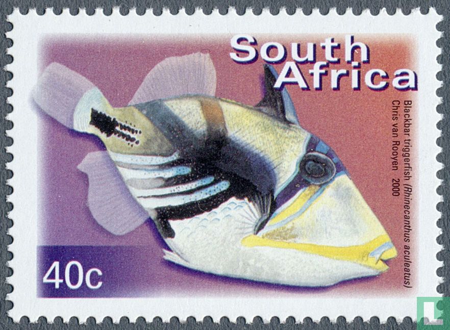 Fish