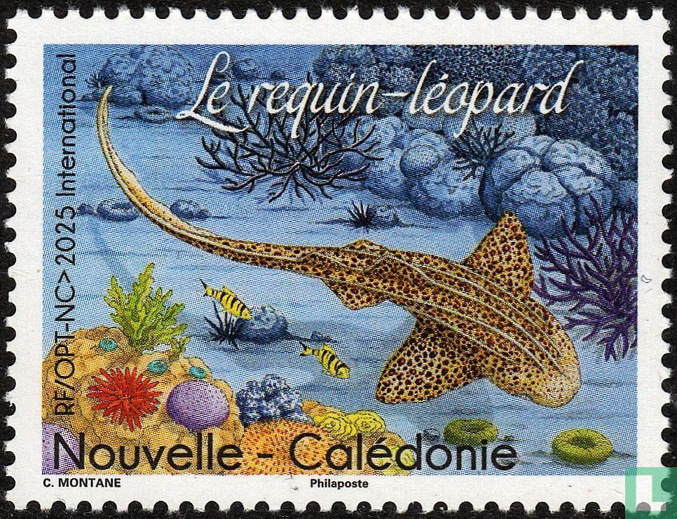 The leopard shark