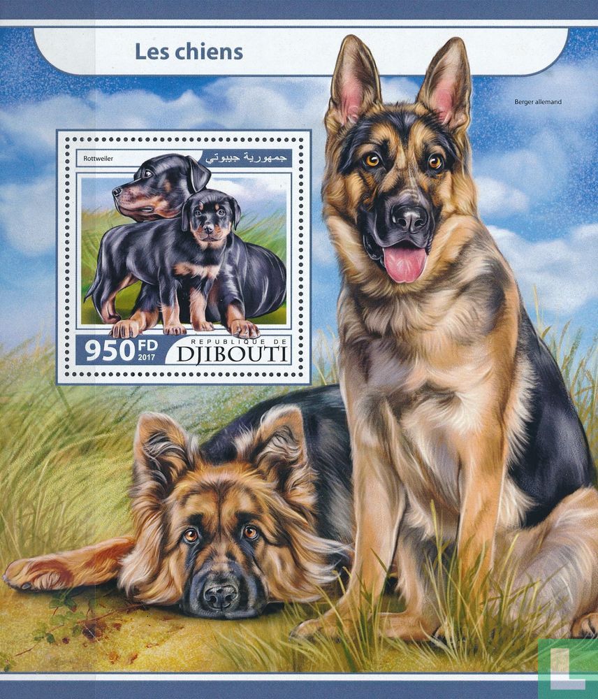 Chiens