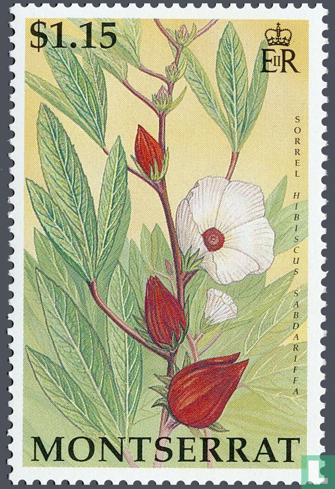 Fleurs