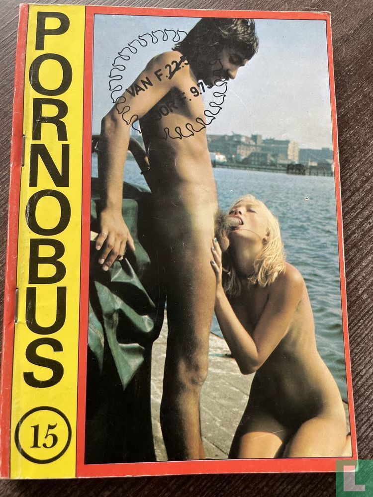 Pornobus 15