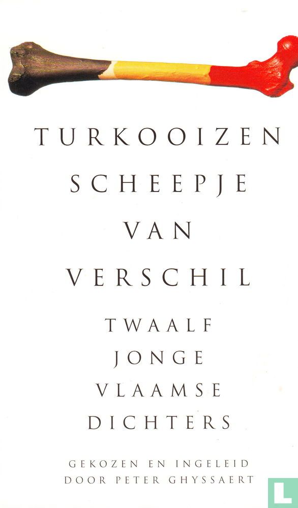 Turkooizen scheepje van verschil