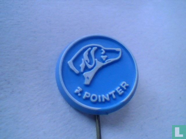 7. Pointer