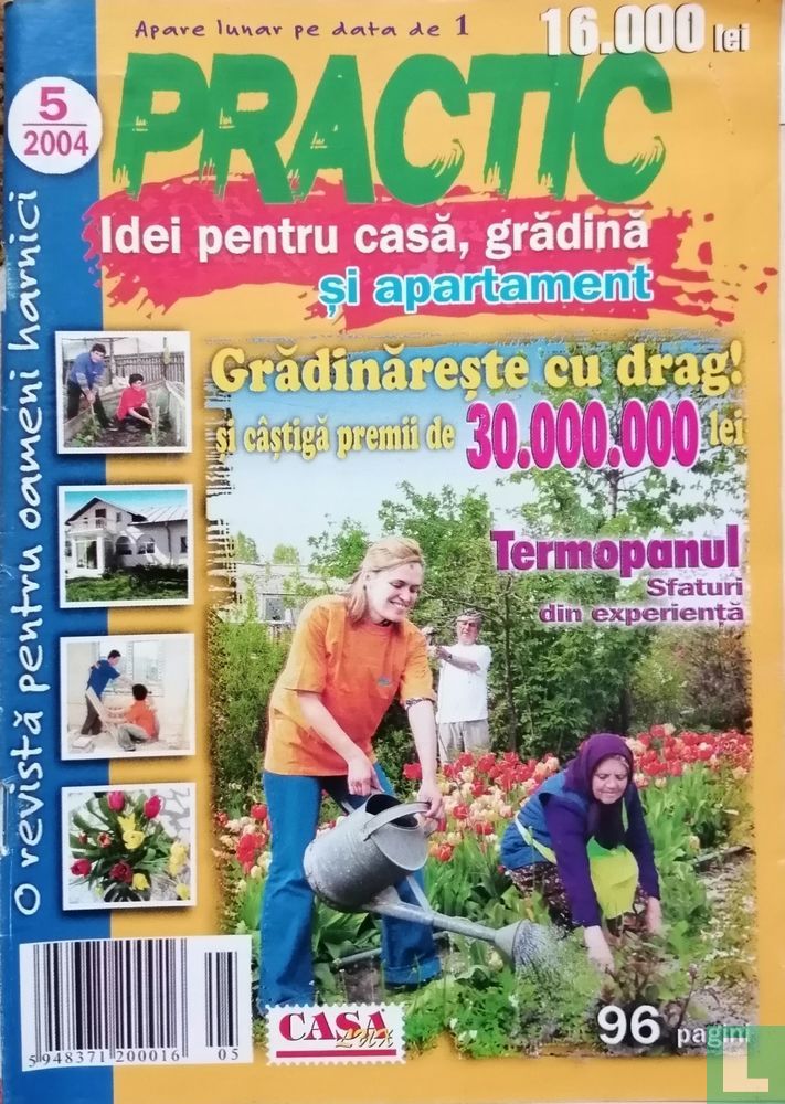 Practic Idei pentru casă 5