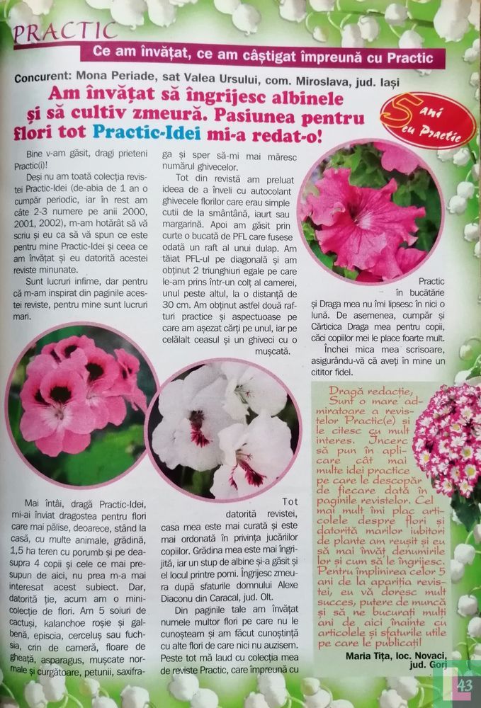 Practic Idei pentru casă 5