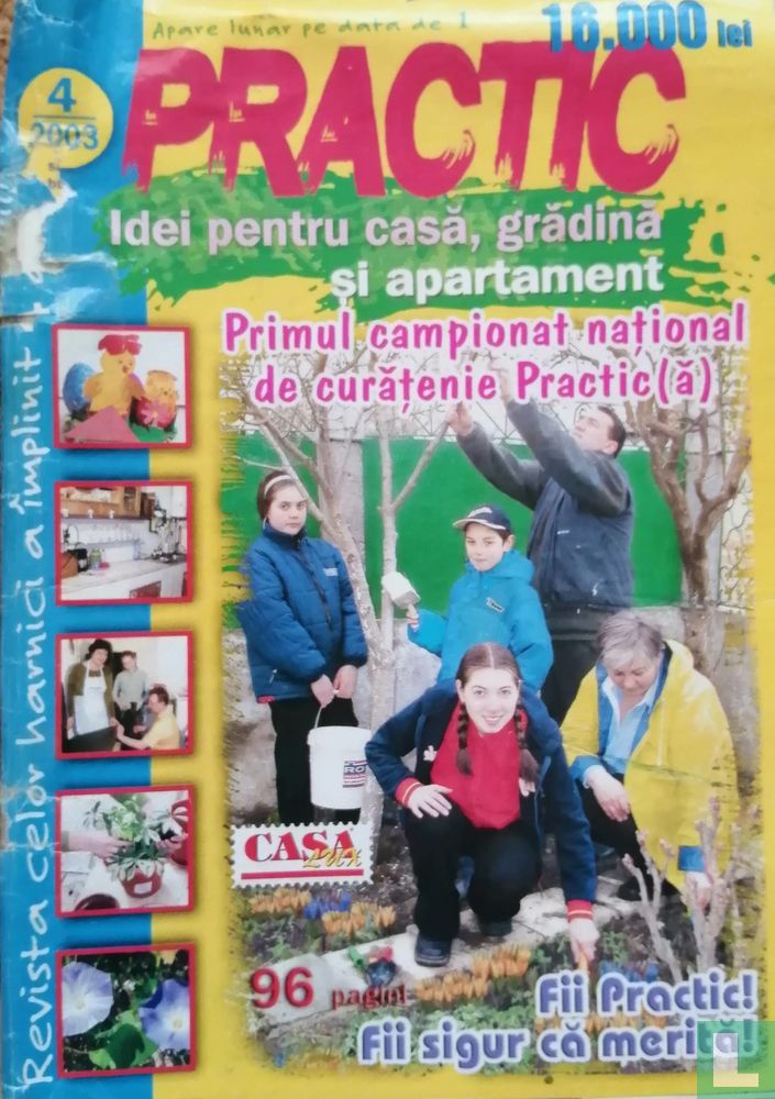 Practic Idei pentru casă 4
