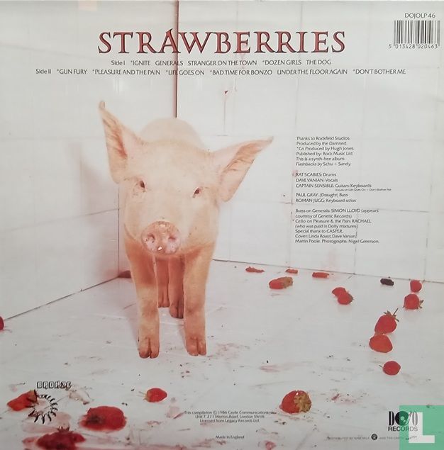 Strawberries