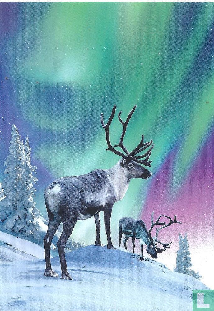 Arctic Circle