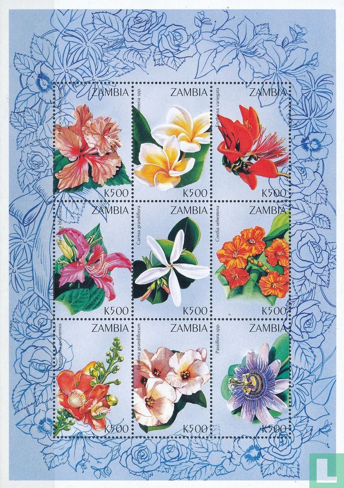 Flowers
