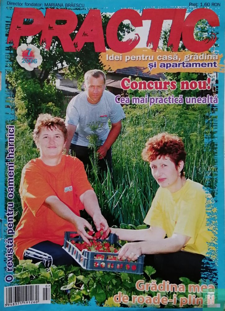 Practic Idei pentru casă 7