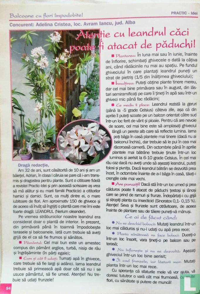 Practic Idei pentru casă 7