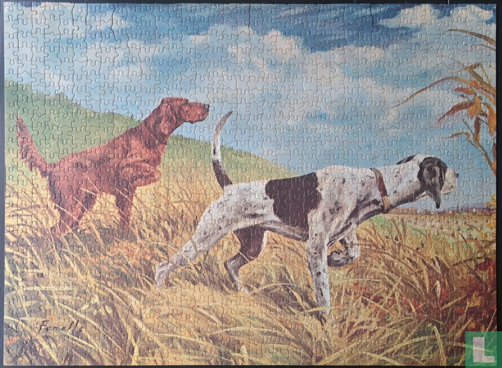 Hunting dogs