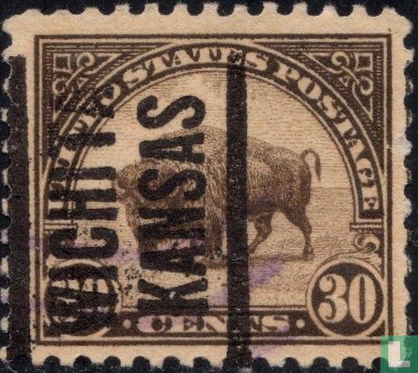 Amerikaanse bizon