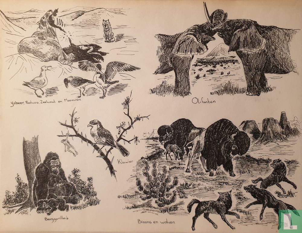 Nature drawings