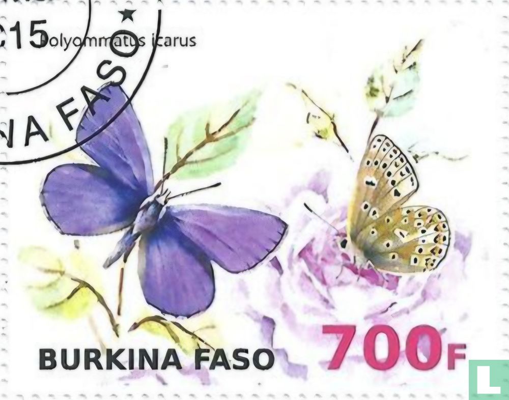 Butterflies