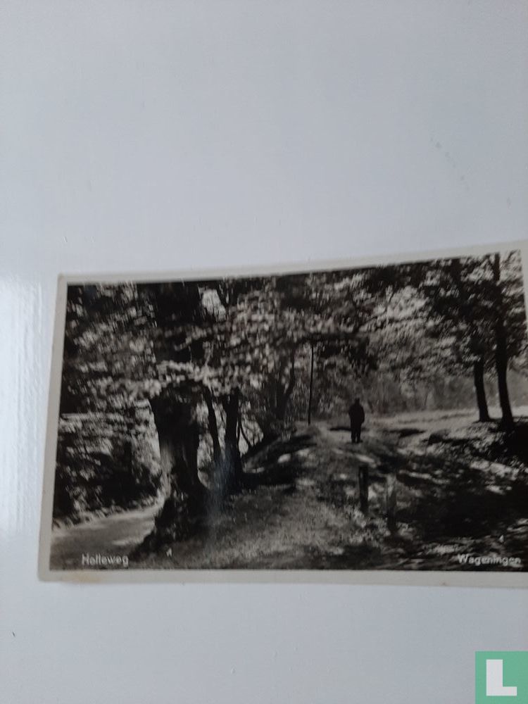 Holleweg