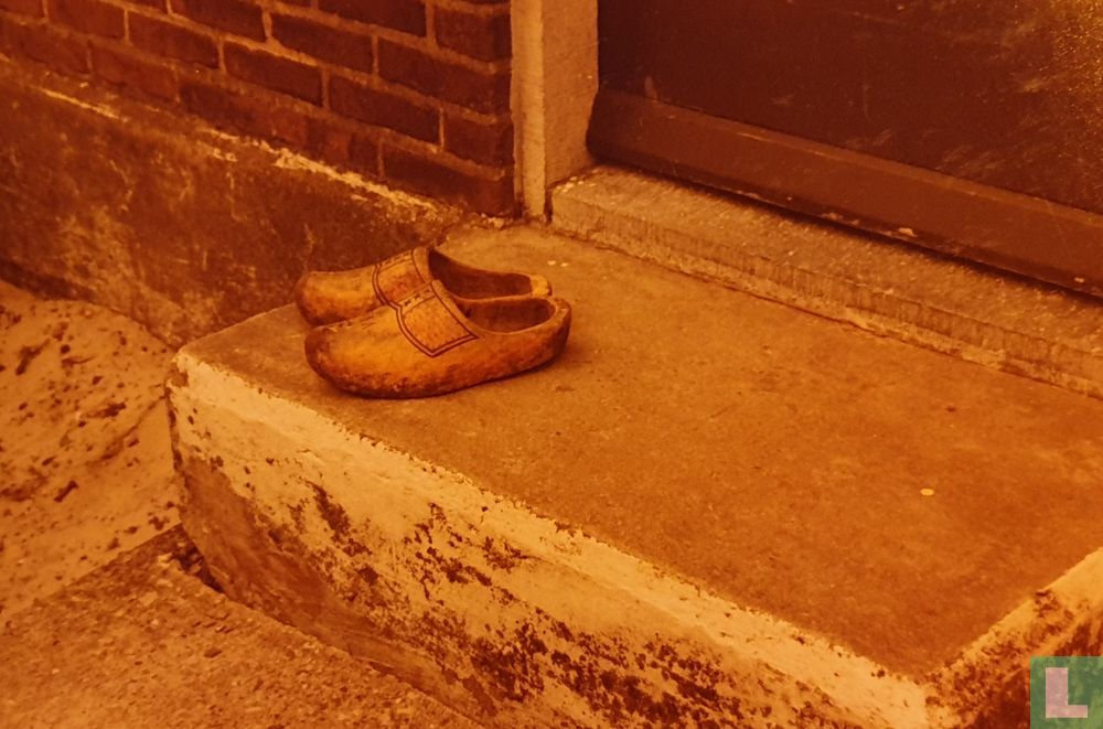 Moe's clogs