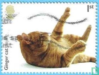Katten
