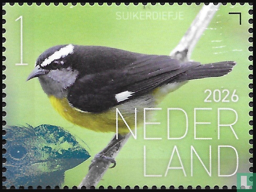 Bananaquit