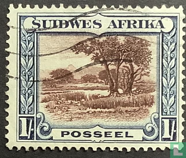 Forest landscape (Afrikaans)