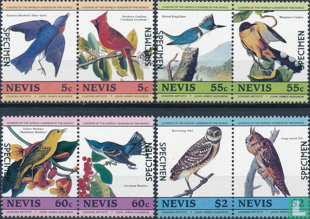 Oiseaux (I) 