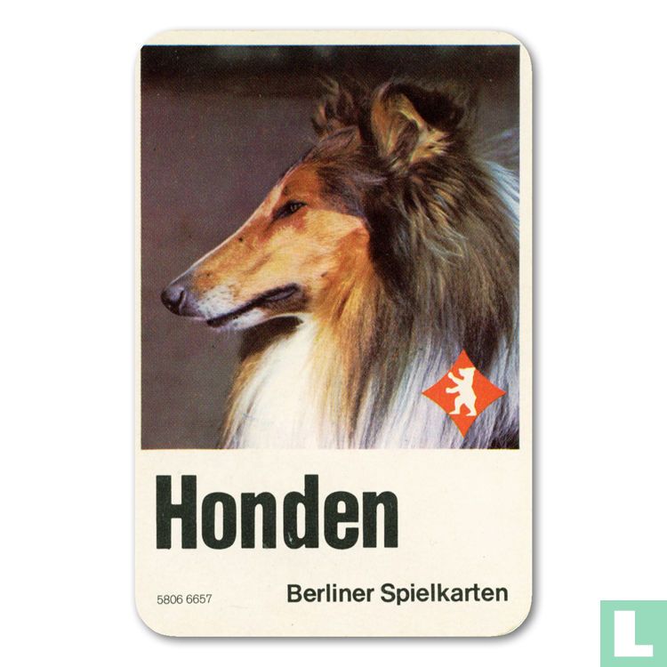 Honden