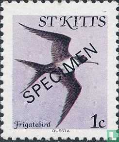 Oiseaux 