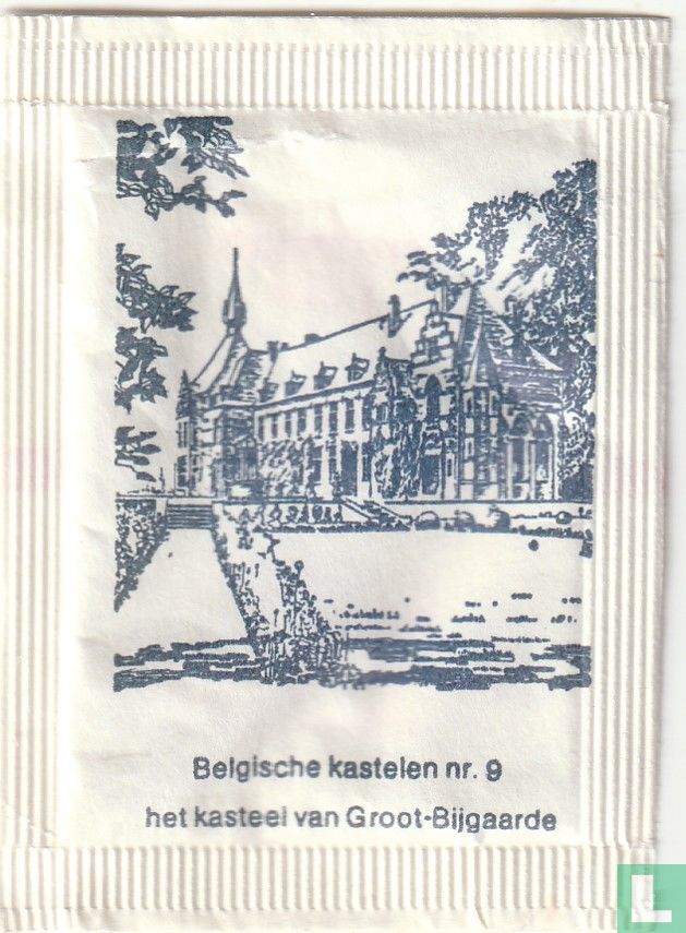 Het kasteel van Groot-Bijgaarde