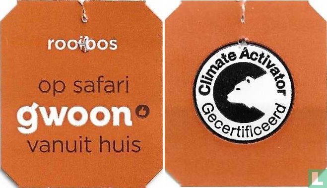 rooibos