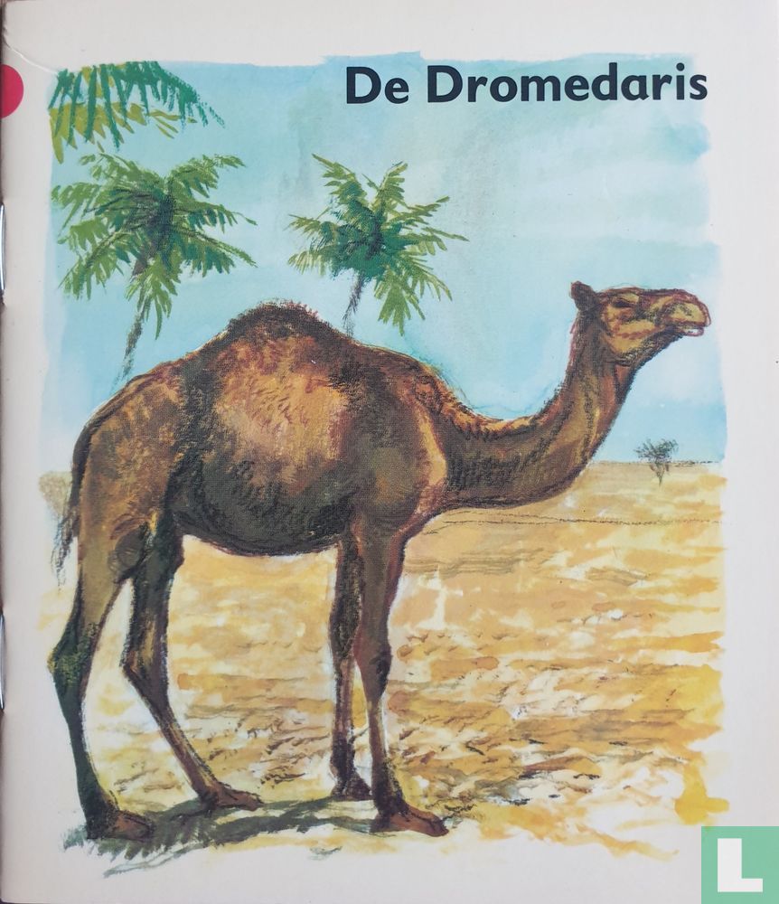 De dromedaris