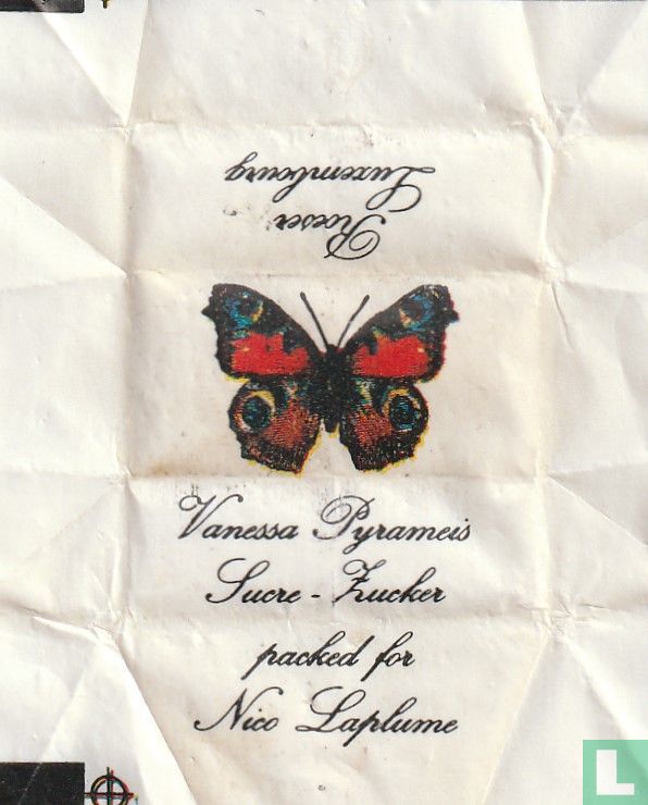 Vanessa Pyrameis
