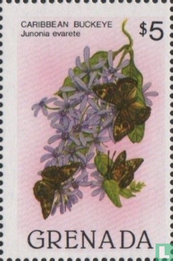 Papillons    