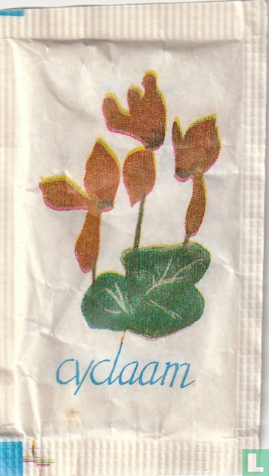 Cyclaam