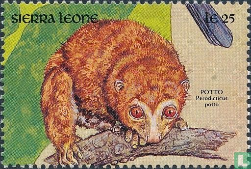 Animaux sauvages